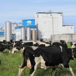 Fonterra Hawera plant