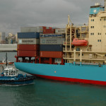 Auckland harbour